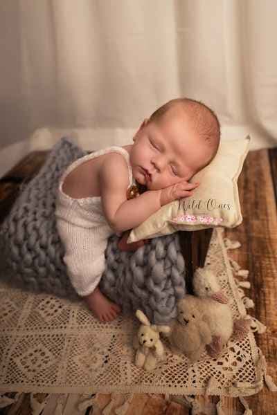 Wild Ones Photography