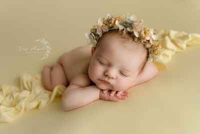 Tiny Angels Photography