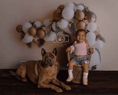 Dinky Little Dot Photography