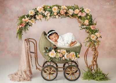 Veronica Socha Photography