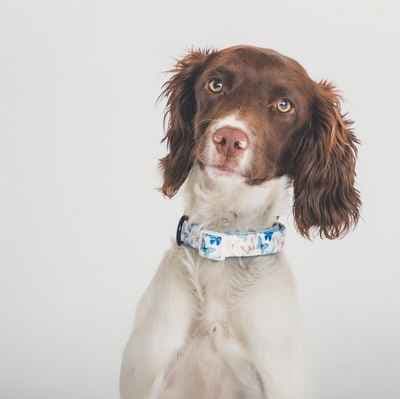 ZigZag Photography Leicester