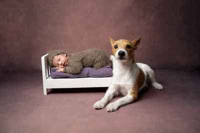 Tiny Adventure Liverpool