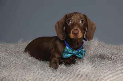 Katy Leanne Photography