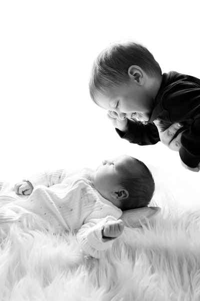 Yellow Blossom Photography