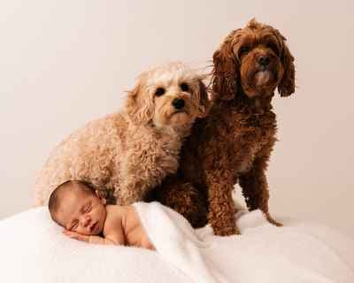 Michele Bellman Studio