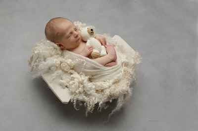 Ladybird Photography