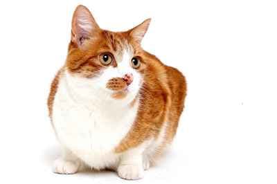 Together in Time Photography Manchester