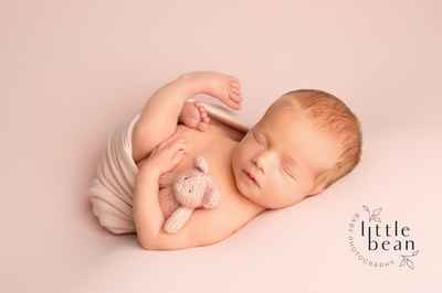 Little Bean Baby Photography