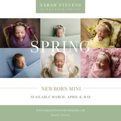 Sarah Stevens Photography